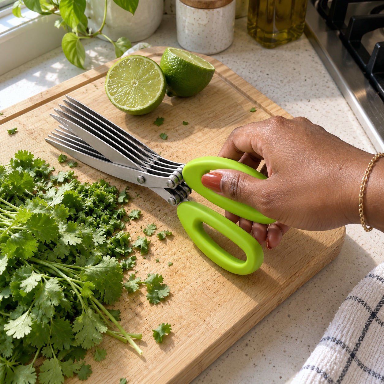 files/12_r3_cilantro_11.jpg